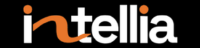 Digisoft Logo